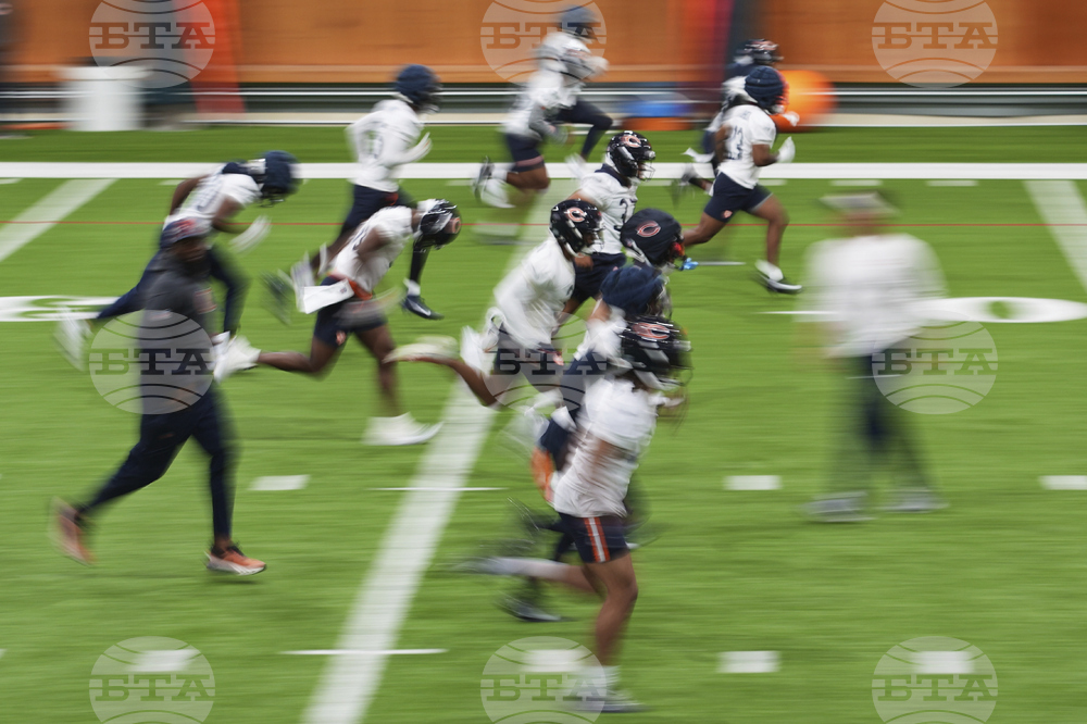 Bears Football
