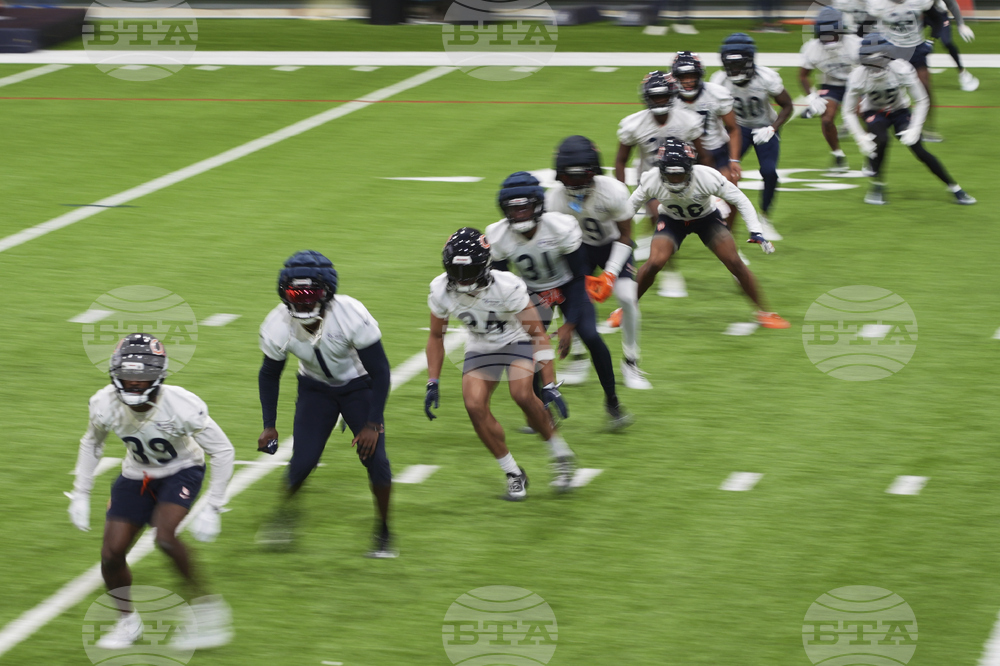 Bears Football
