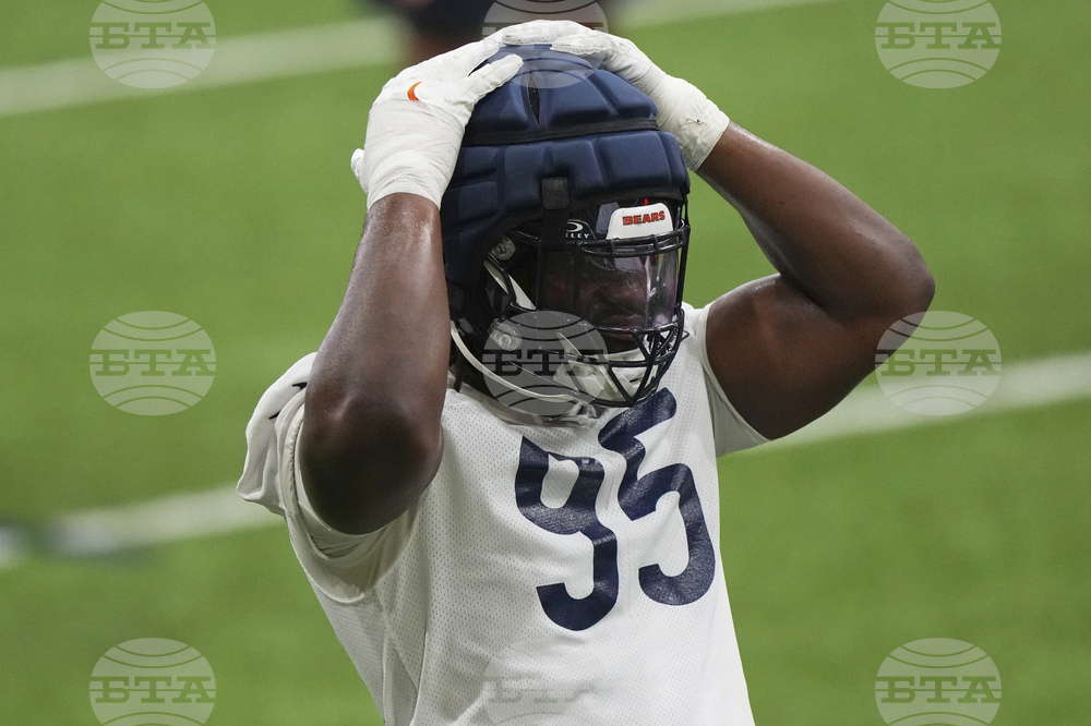 Bears Football
