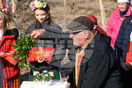 Село Устина - Трифон Зарезан - Румен Радев