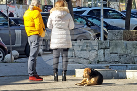 Варна - ежедневие