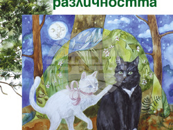 Книга „Приказки за различността“ илюстрира принципите на социалното включване и толерантност. Снимка: НЦАК „Ние ви чуваме”