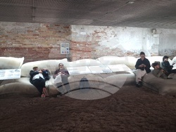 Павилионът на Бахрейн на Венецианското архитектурно биенале. Снимка: Специален пратеник на БТА Ваня Сухарова