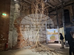 Обща експозиция на Венецианското архитектурно биенале в зала „Арсенале“. Снимка: Специален пратеник на БТА Ваня Сухарова