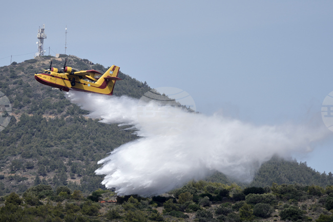Двама души са обвинени в предизвикване на горски пожари в Северна Гърция