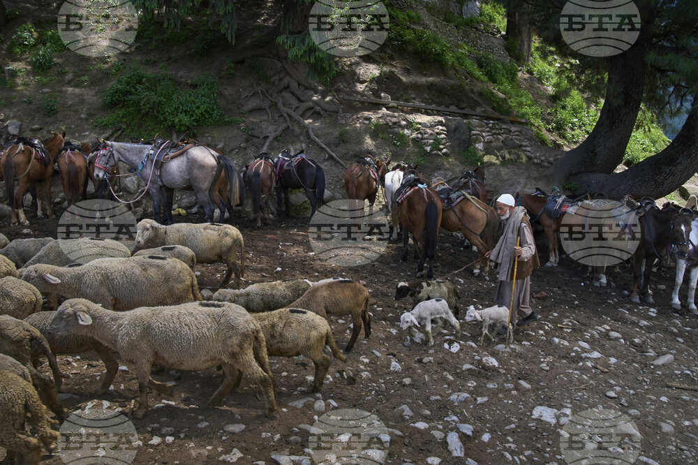 India Kashmir Tourism