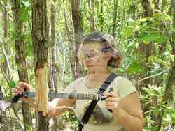 Снимка: Изпълнителна агенция по горите