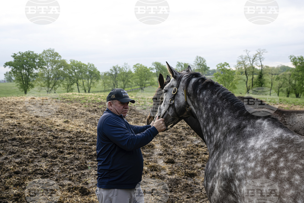 Recovery Through Horses