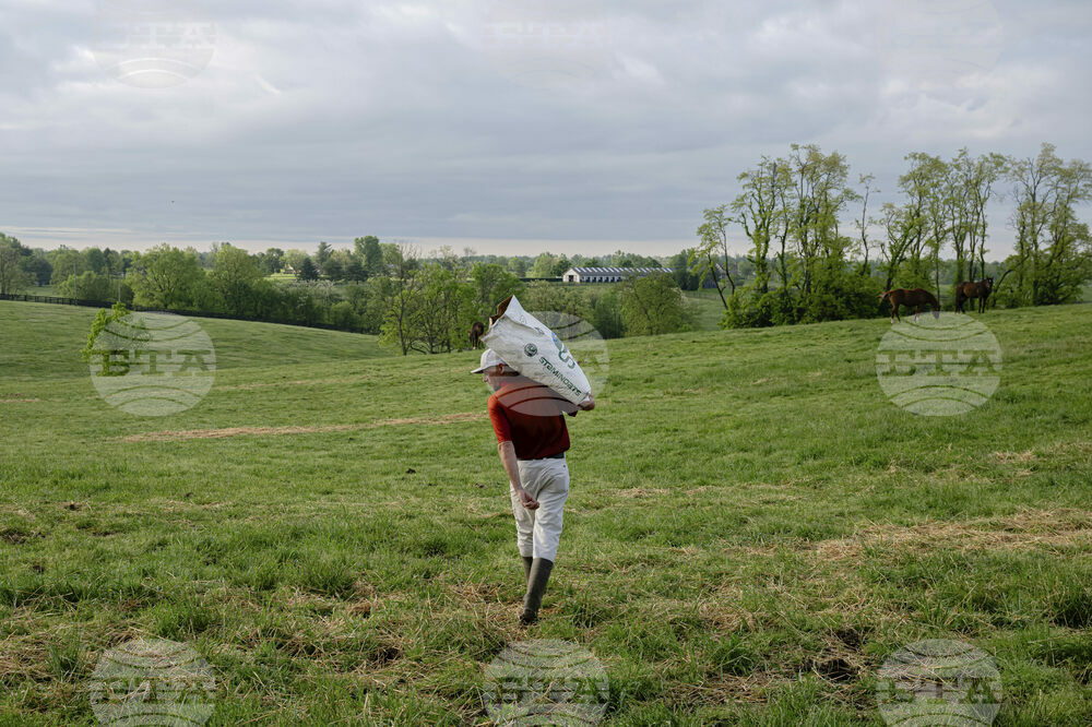 Recovery Through Horses