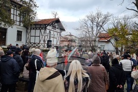 Враца - Трифон Зарезан 