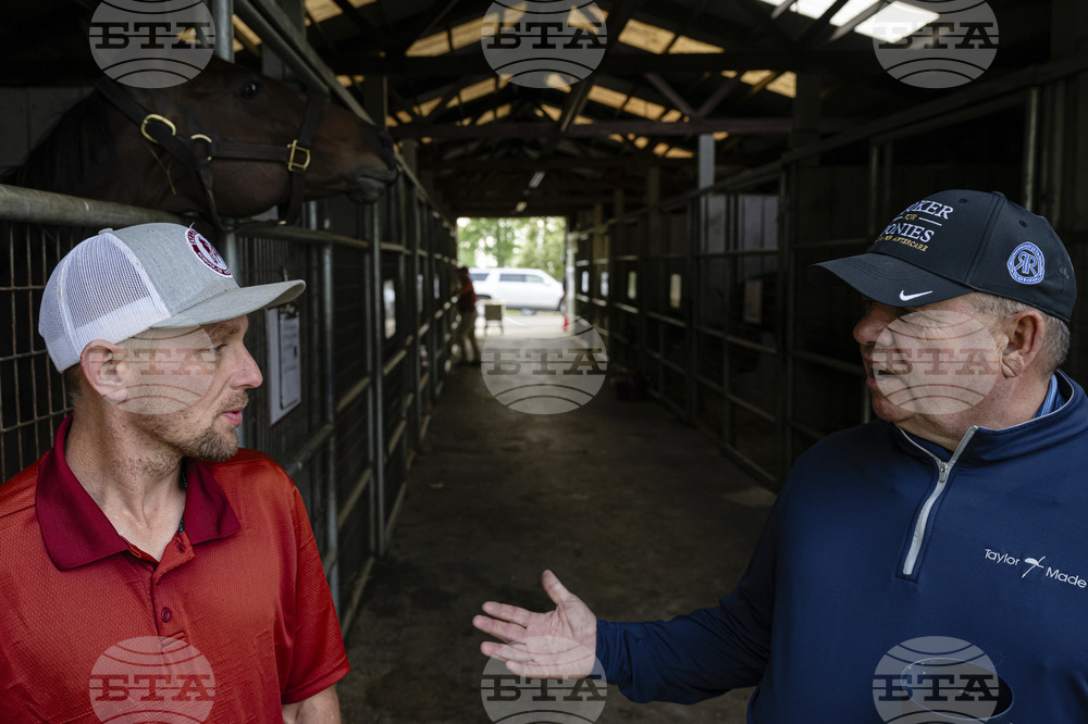 Recovery Through Horses