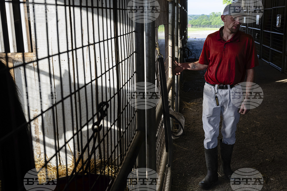 Recovery Through Horses