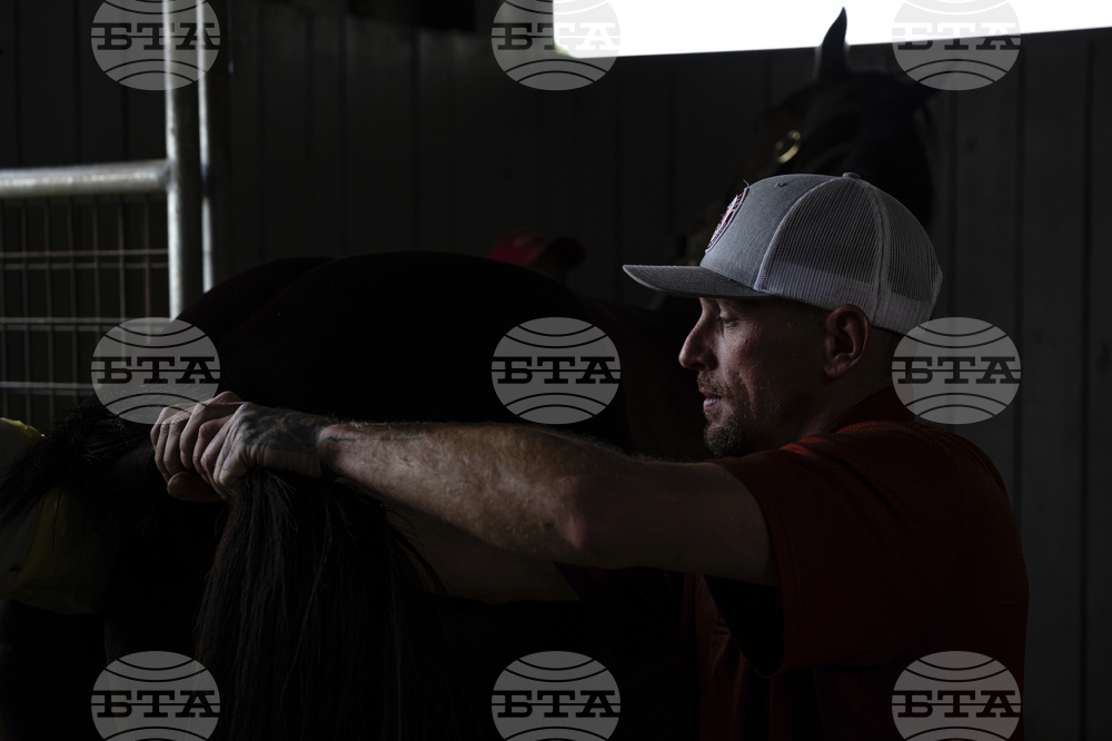 Recovery Through Horses