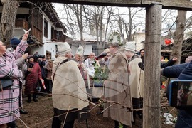 Враца - Трифон Зарезан 