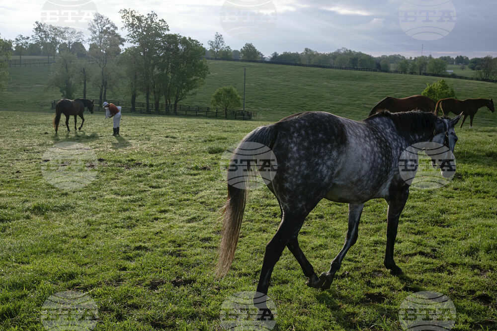 Recovery Through Horses