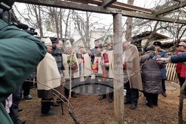 Враца - Трифон Зарезан 