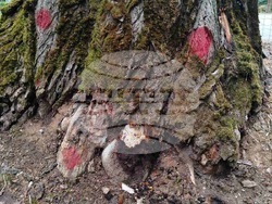 Снимка: Община Благоевград 