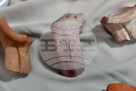 Исперих - Ден на археолога - изложба