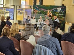 Видин - конференция – Северозапад - туризъм