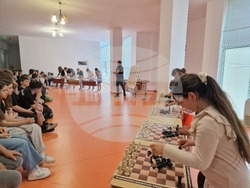 Лозница - шах - урок