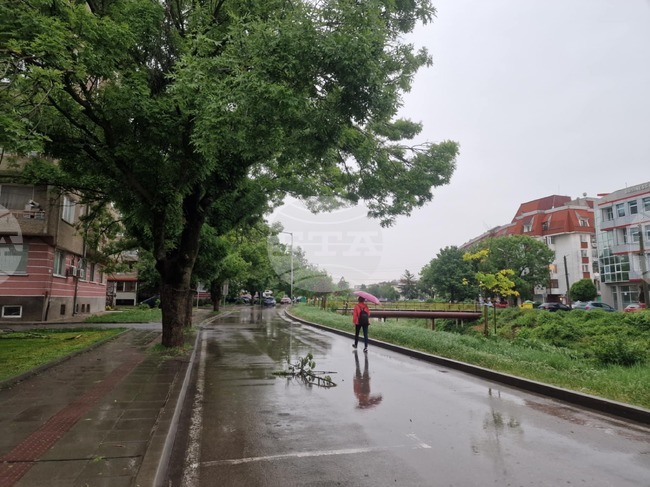 Над област Разград преминава гръмотевична буря с проливни дъждове 