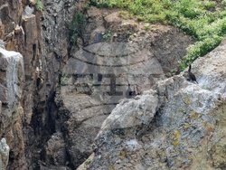 Созопол - остров Св. Иван - изглед