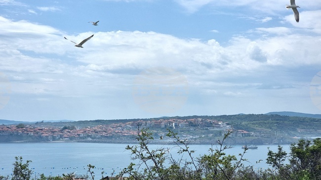 Черно море е уязвимо и изисква по-добър институционален синхрон, каза екологът Димитър Попов за новото звено в МОСВ и морската грамотност