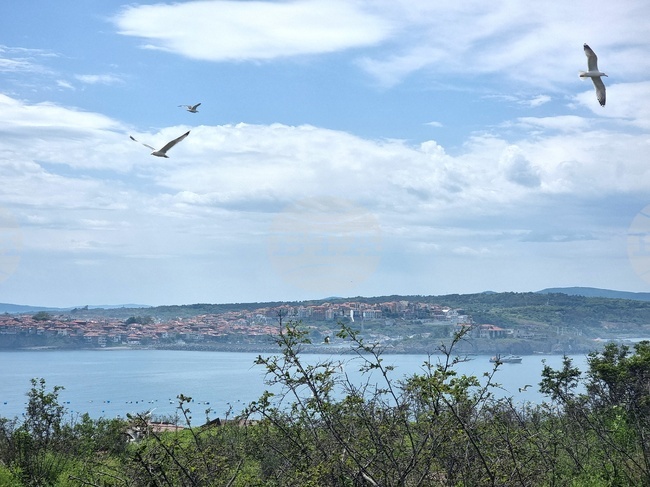 Прогноза за времето