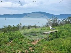 Созопол - остров Св. Иван - изглед