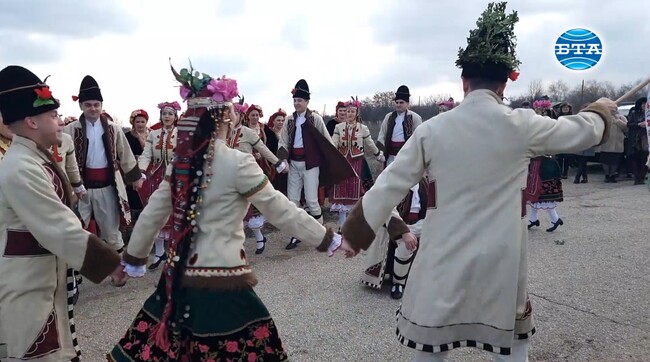В Института по лозарство и винарство в Плевен спазиха традицията за зарязване на лозята 