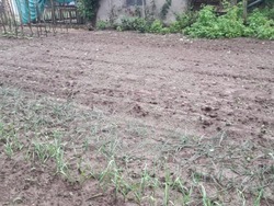 с. Светлен - зеленчуци - буря 