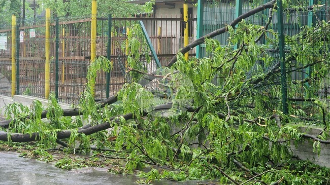 В област Разград три села, както и част от град Цар Калоян, са без електрозахранване вследствие на бурята