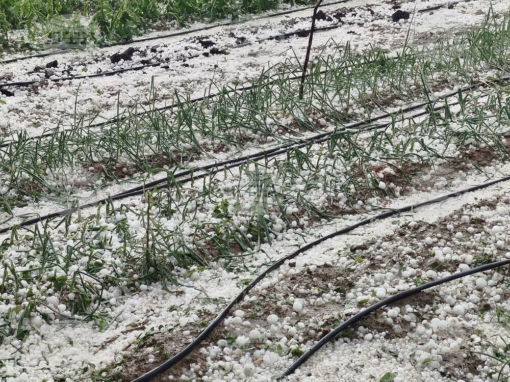 Заради проливни дъждове и градушки в някои части на страната има населени места без електричество