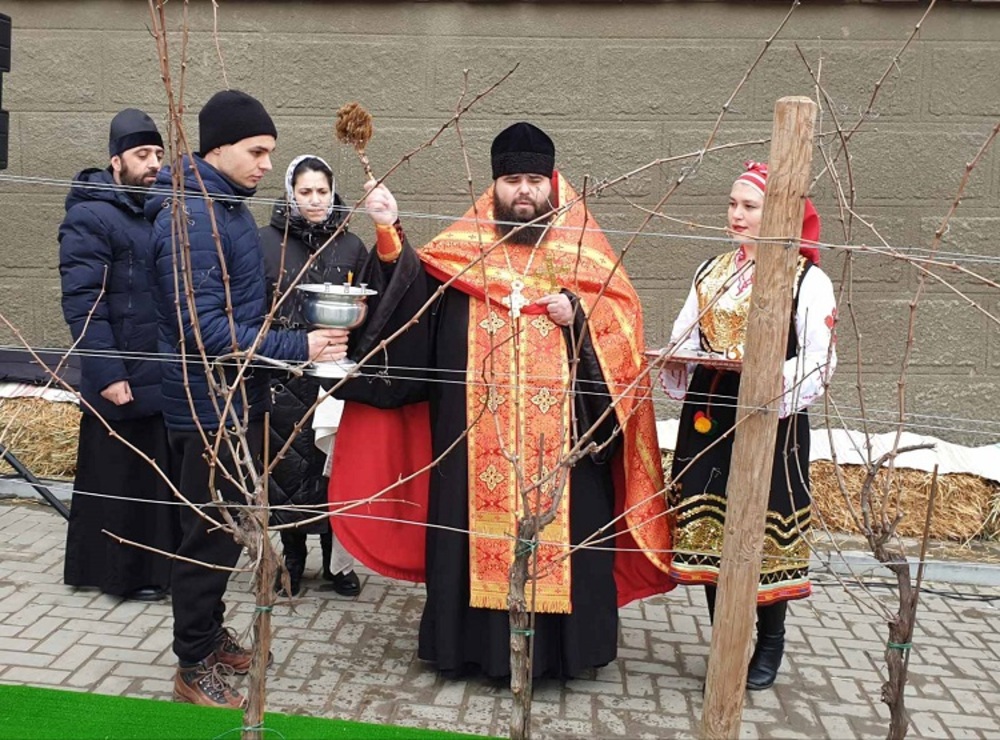 С молитва, хоро и чаша вино зарязаха лозята в Тараклия