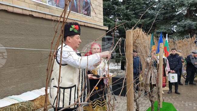 Българите в Молдова се подготвят да отбележат Трифон Зарезан по стар стил