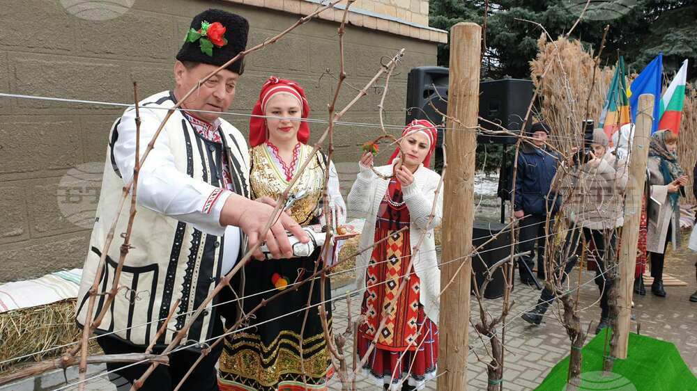 В Тараклийския район в Молдова отбелязват днес Трифон Зарезан