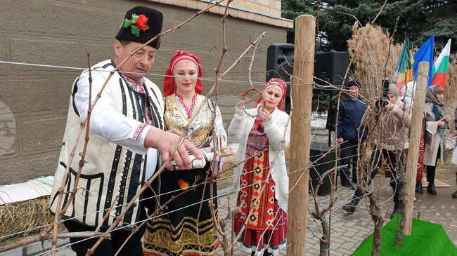  Молдова - Трифон Зарезан - българска общност