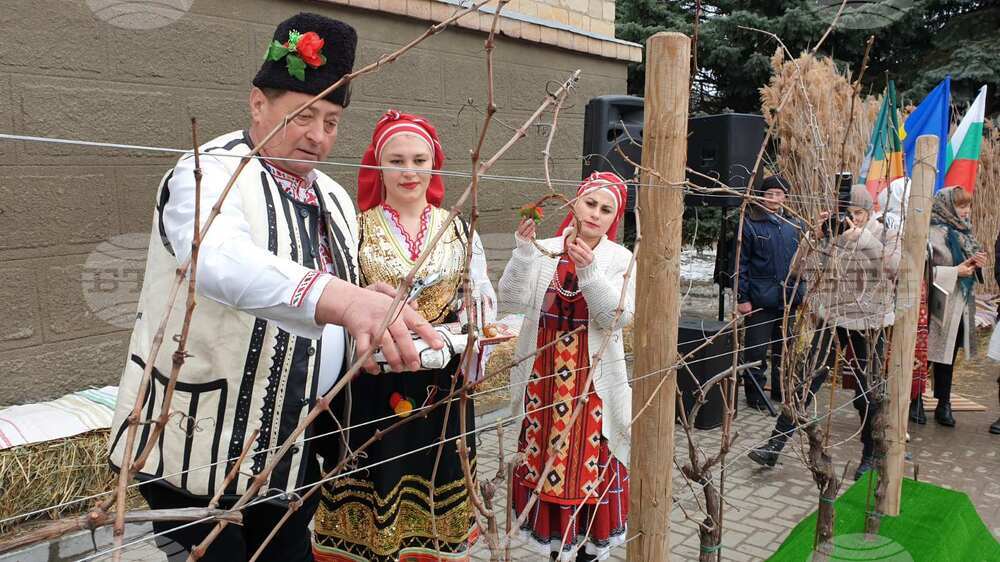 Молдова - Трифон Зарезан - българска общност