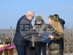 Снимка: Община Видин - Трифон Зарезан на лозовия масив между Гомотарци и Кошава