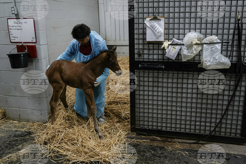 APTOPIX Recovery Through Horses