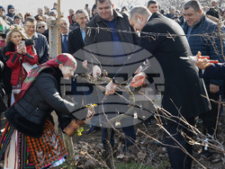Снимка: Прессекретариат - Президентът участва в ритуала по освещаване и зарязване на лозовите масиви в село Устина