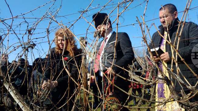 Сухиндол - Трифон Зарезан - празник