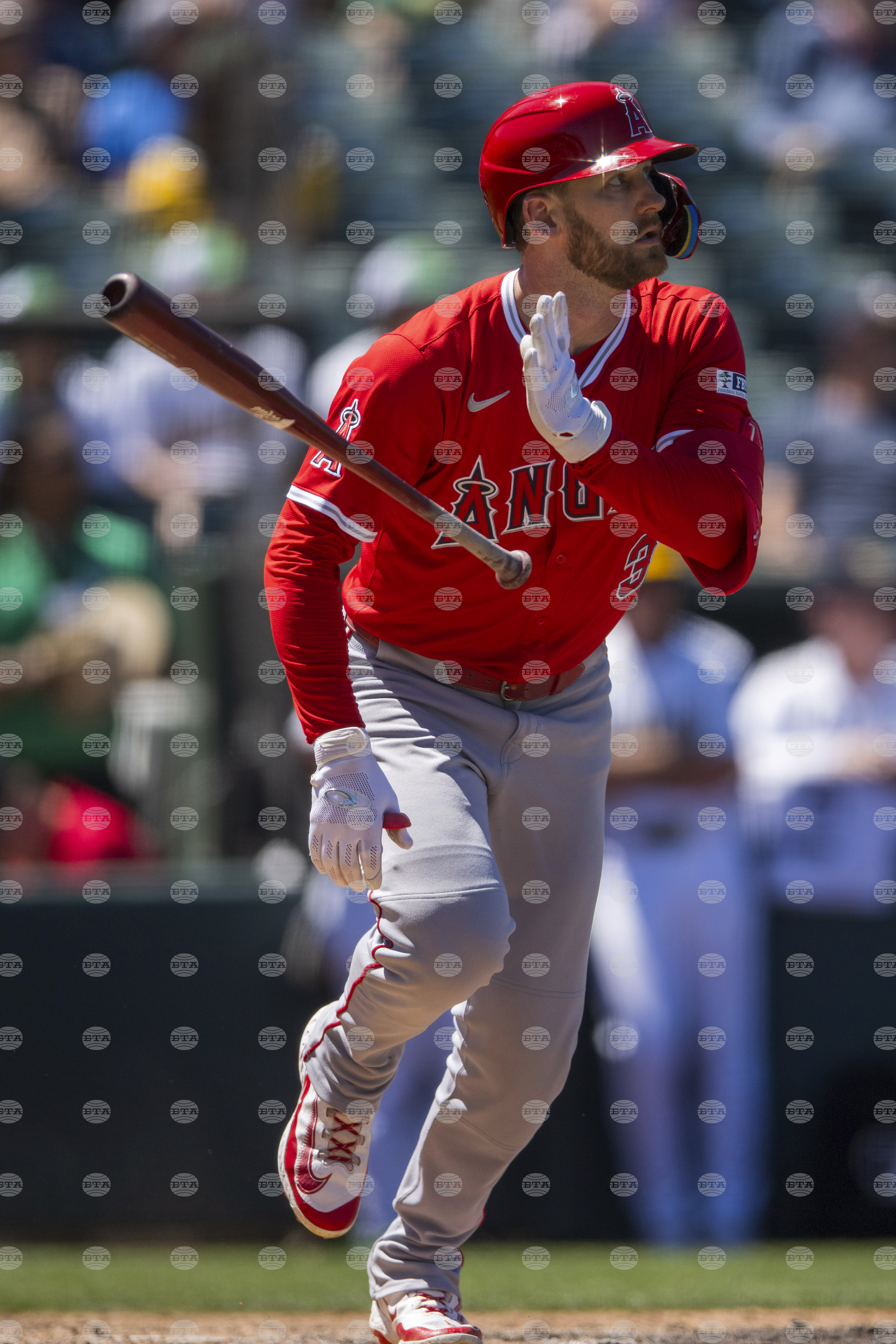 Angels Athletics Baseball
