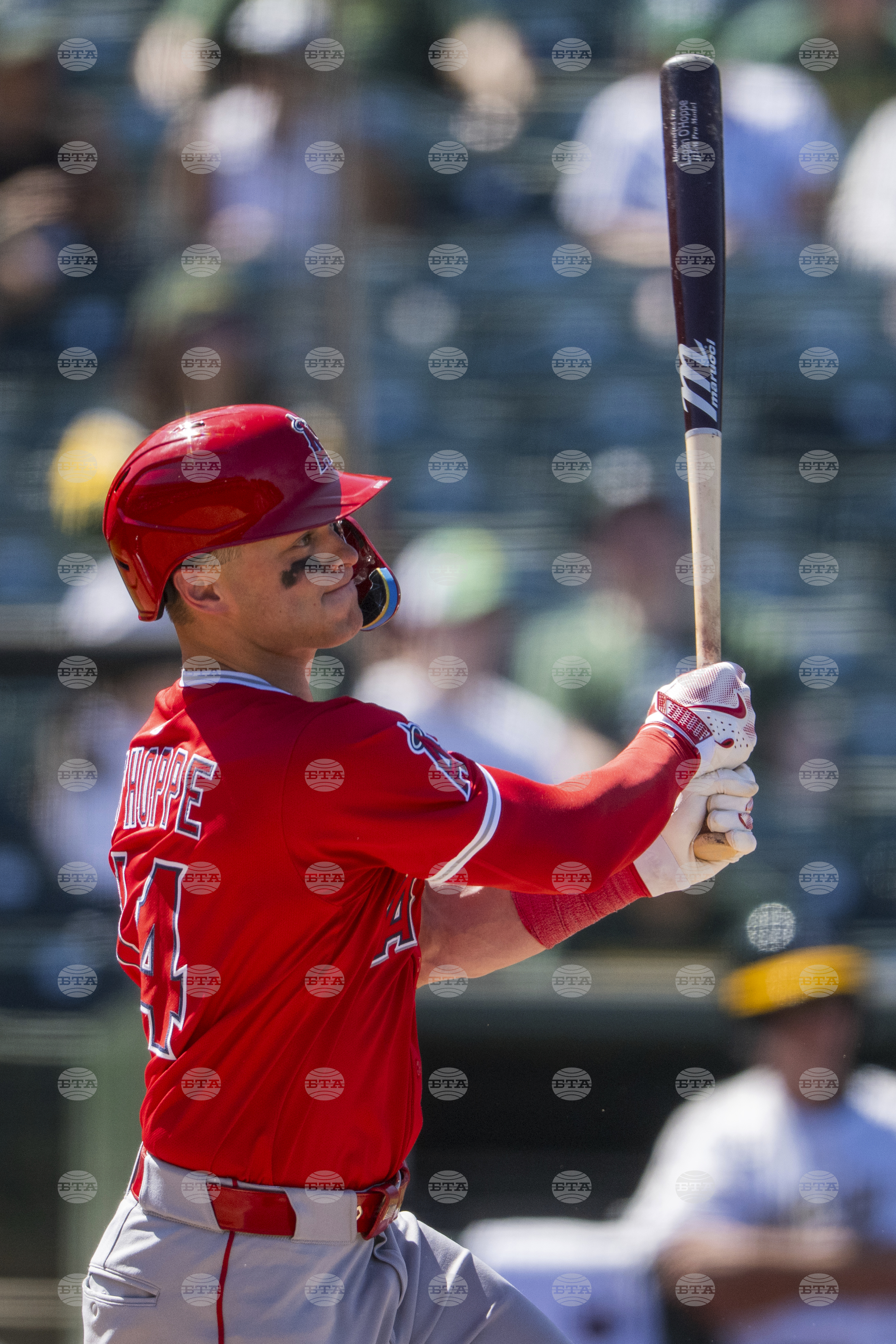 Angels Athletics Baseball