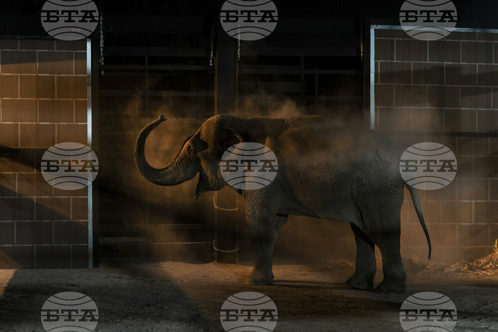 Pictures of the Week Global Photo Gallery