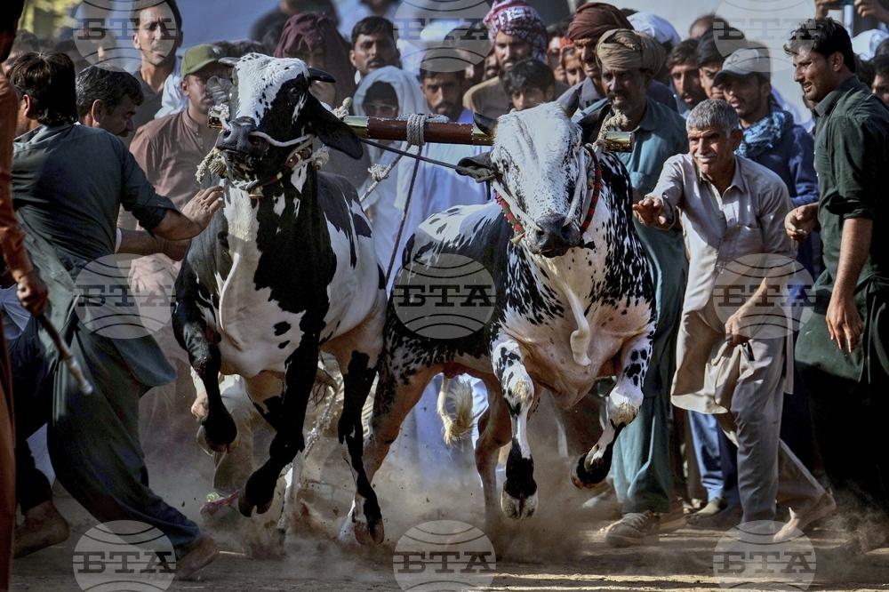 Pictures of the Week Global Photo Gallery