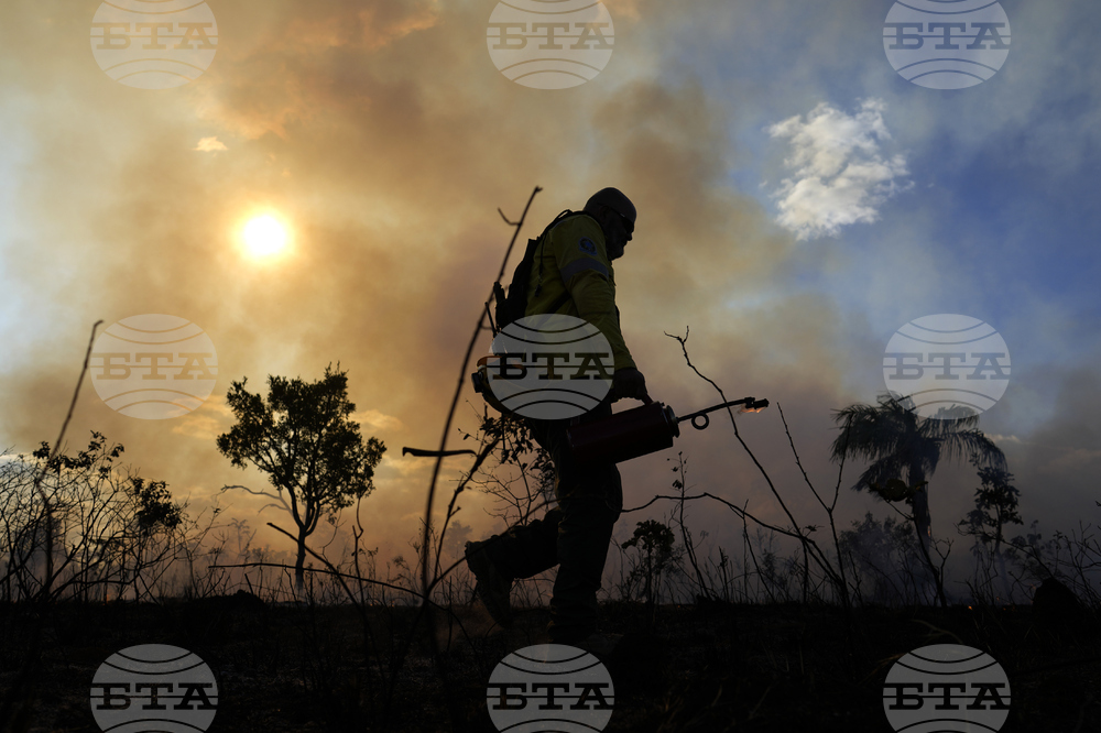 Pictures of the Week Latin America and Caribbean