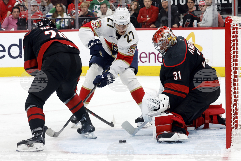 Panthers Hurricanes Hockey