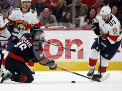 Panthers Hurricanes Hockey