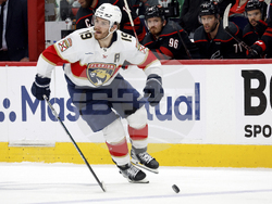 Panthers Hurricanes Hockey